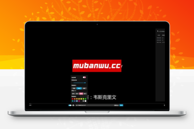苹果CMS最新Dplay弹幕播放器插件_苹果CMS插件